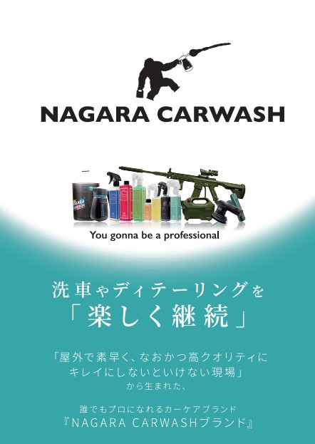 ながら洗車でーた.jpg
