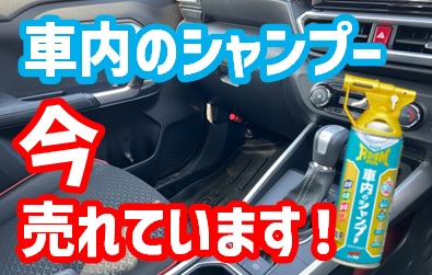 車内のシャンプーサムネイル.jpg