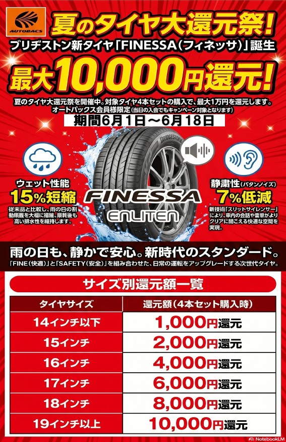 フィネッサ.jpg