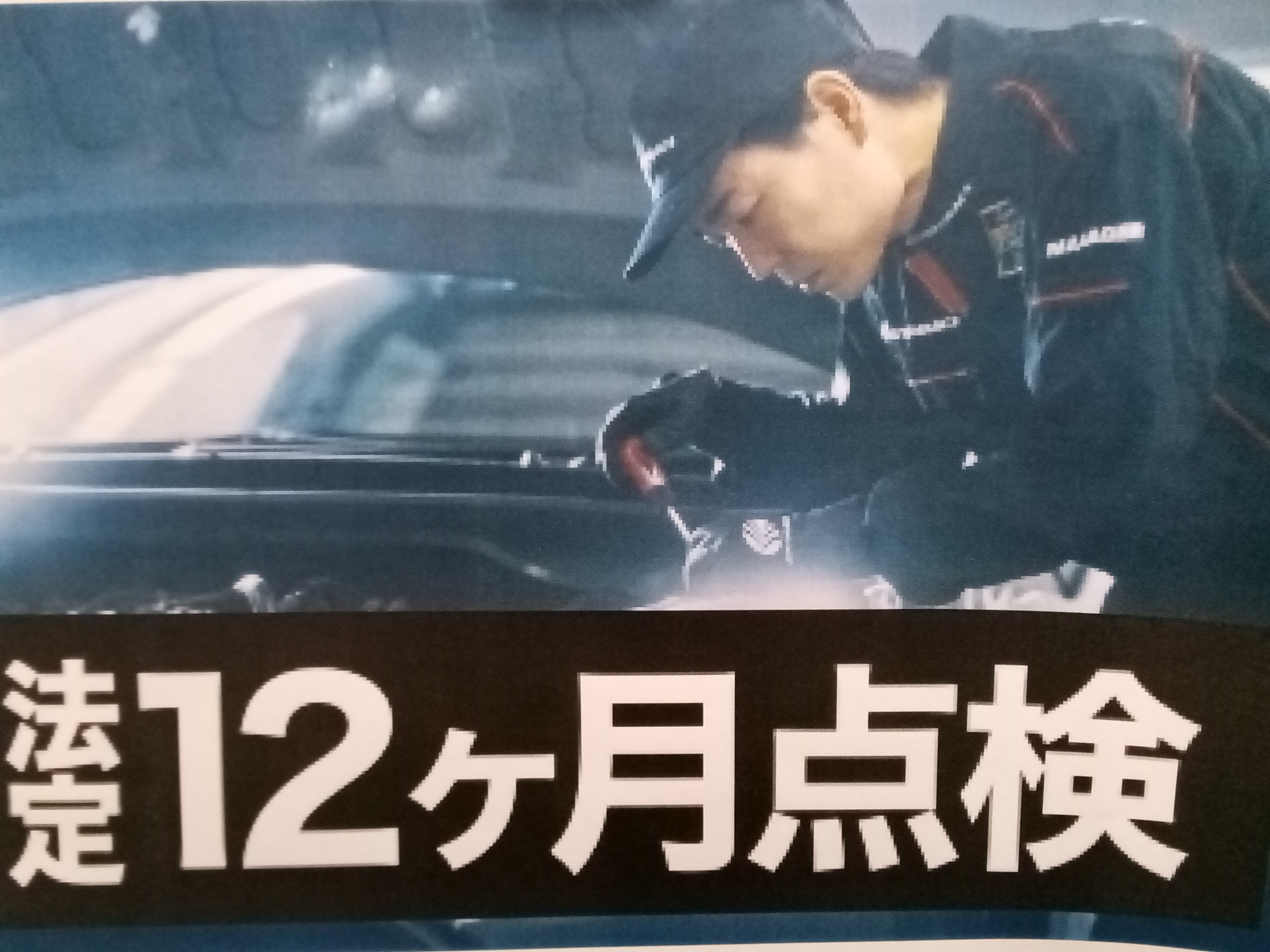 IMG_20250308_104802_624.jpg IMG_20250308_104802_624.jpg