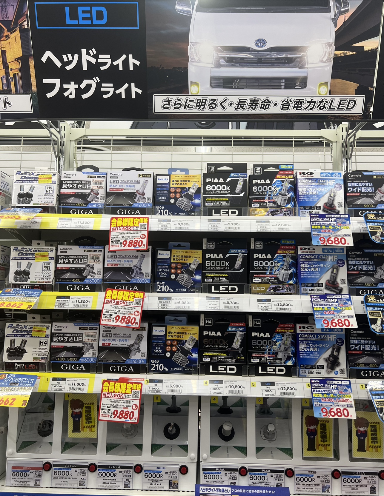 IMG_2486.jpeg