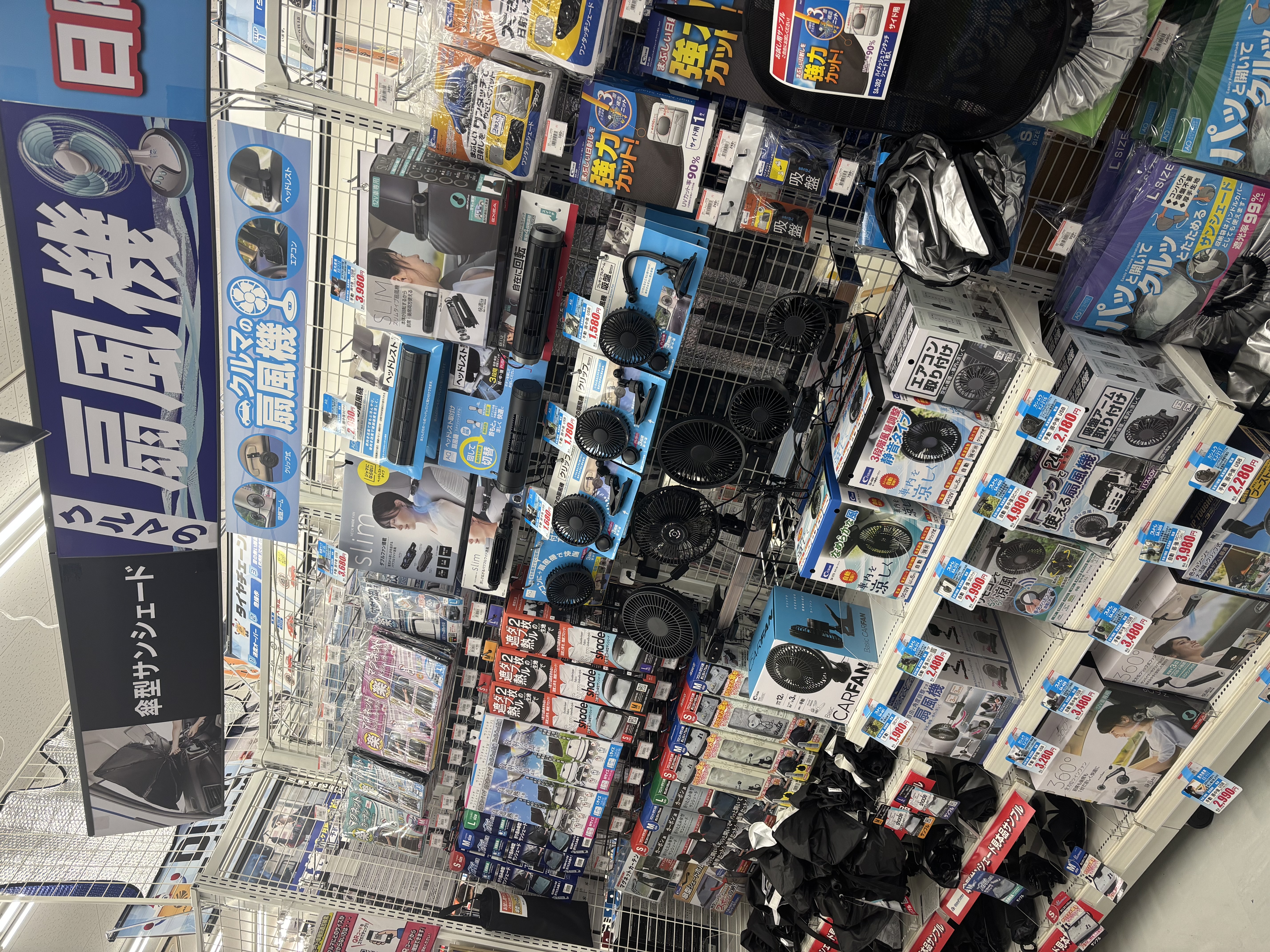 IMG_7583.jpeg