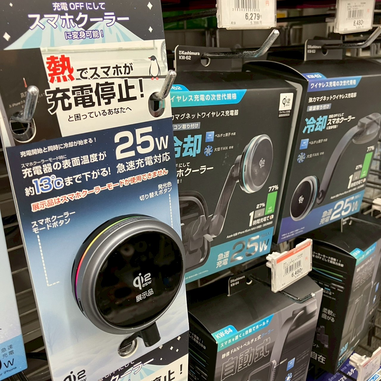 LINE_ALBUM_仕事用_260224_4.jpg