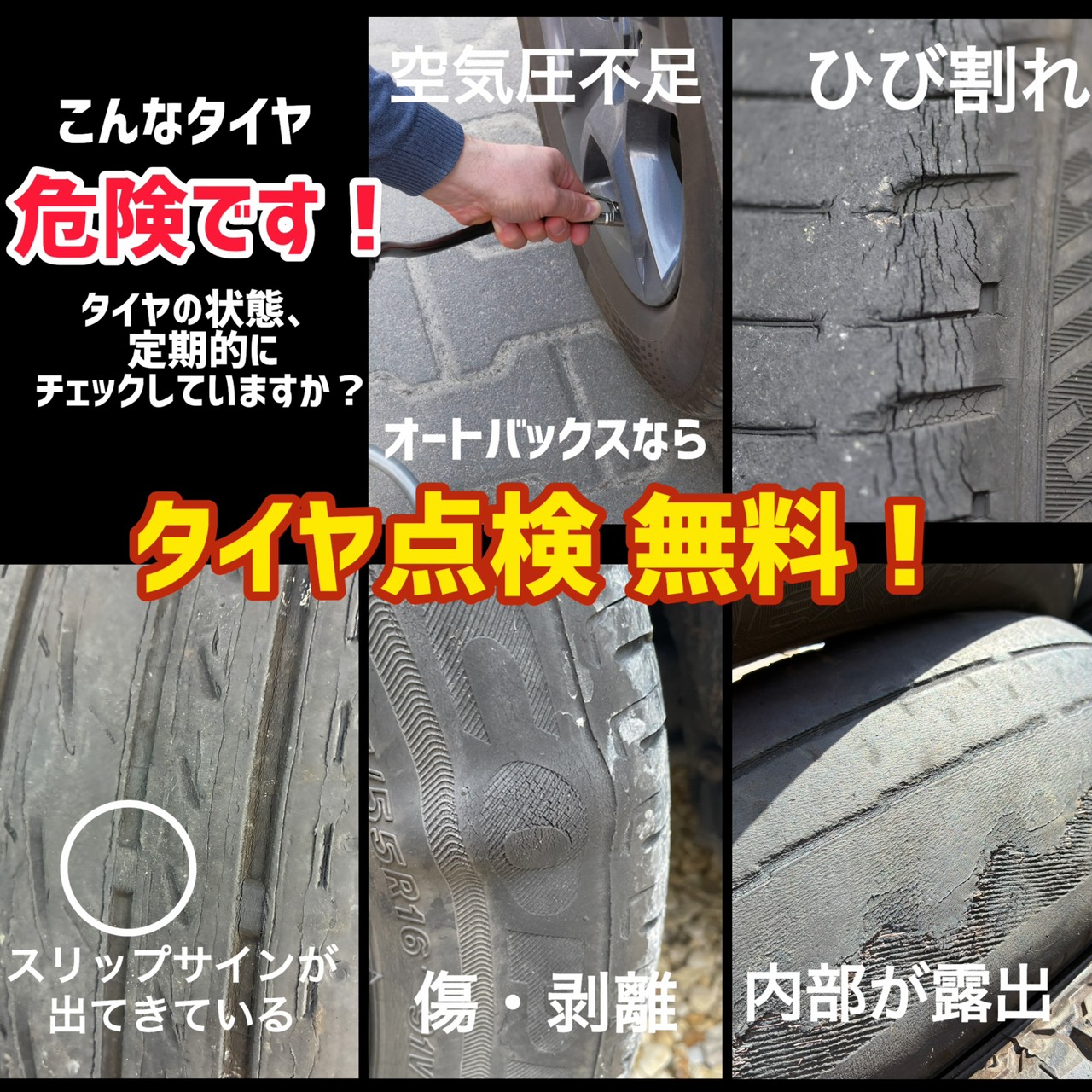 S__225738754.jpg